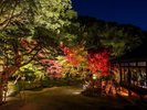 【周辺観光/承天寺(秋)】うどん、蕎麦、饅頭、博多祇園山笠の発祥の地/写真提供:福岡市