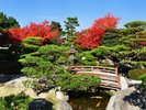 【周辺観光/大濠公園日本庭園(秋)】昭和59年に開園した築山林泉廻遊式の庭園/写真提供:福岡市