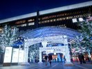 【周辺観光/博多駅(冬)】14.9mシンボルツリーや62万球壮大なイルミネーション/写真提供:福岡市