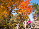 【酢川温泉神社】蔵王温泉高台にある温泉の神様。高台からの絶景は格別!神社ふもとが高湯通り