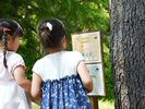 遊歩道を利用してクイズラリー『maiko探検隊』を開催中!お散歩しながら合言葉を見つけ出さそう!