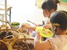 【森のクラフト】自然の木の実や、白樺の枝などを使って、自由に工作!