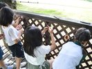 【メモリープレート】書いた後は、ツリーハウスにあるメモリーウォールに取り付けよう!