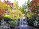 躑躅の間紅葉