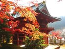 �y����R�_�쎛�z�֓��ŌÂ̖���