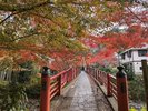 修善寺温泉:楓橋(寄り添い橋)