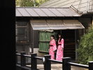 【滞在風景H】夕食の時間まで館内をちょっぴりお散歩。色浴衣で館内を歩くだけで絵になります♪