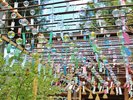 夏の季節♪正寿院(風鈴寺)ご宿泊の際は、少し足を伸ばして訪れてみませんか?