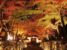 (秋の興聖寺)琴坂で有名な禅宗・曹洞宗の寺院です。※画像はイメージ