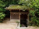 (世界遺産・宇治上神社)ユネスコの世界遺産「古都京都の文化財」※画像はイメージ