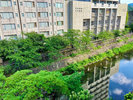 客室からの眺望例