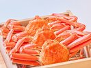 �ґ�ɂ���l�l�P�t���u䥂Ŏp�I�v�t���I��ȁ����Ɏh���E���ɓ�����\�I�i3������j