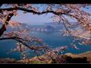紫雲出山から望む瀬戸内海