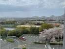 市街地を見下ろし、その先に瀬戸内海を望む眺望自慢のお部屋です。