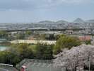 当宿目の前にある観音寺市総合運動公園(市外の方も利用可)テニスなどスポーツの後の温泉は格別!