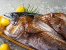 食材イメージ