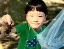 夏は場内でカブトムシやクワガタなど採集できます