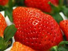 幻の苺といわれている埼玉県産ブランド苺「あまりん」でナイトいちご狩りも受付中。春の贅沢なナイト体験を