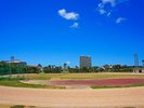 【奥武山公園】当館から徒歩約11分/車で約4分