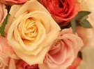 Flower Bouquet -wedding-