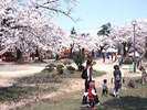 鶴岡公園�B