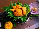 【初夏・5月〜6月】初夏の味覚◆上品で濃厚な甘みが広がる至福◆丹後産・黒雲丹(ムラサキウニ)を堪能