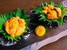 【初夏・5月〜6月】初夏の味覚◆上品で濃厚な甘みが広がる至福◆丹後産・黒雲丹(ムラサキウニ)を堪能