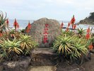 白浜アロエの里