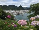 下田公園より望む下田港