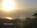 �S�q�����璭�߂���A�C����̓��̏o