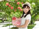 産地ならではの味わい♪金桜園もも狩りプラン☆