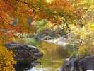 秋の紅葉と言えば!『昇仙峡』