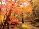 山梨を代表する紅葉スポット『昇仙峡』