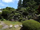 ■日本庭園