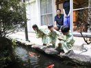 一部客室ではお庭の鯉に餌をあげる事が出来ます。ご家族に人気の客室です。