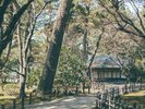 【周辺観光】名古屋城