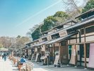 【周辺観光】金シャチ横丁:名古屋城敷地内にある、伝統的な江戸時代風の歩行者専用道路。