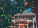 【周辺観光】大須観音