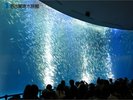 【周辺観光】名古屋港水族館:約500種以上の生物を展示する、日本最大級の公営水族館。