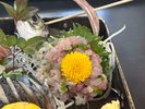 熱海の鯵は絶品。伊豆で、鯵は食べなきゃ損♪