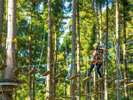 【Tree Picnic Adventure IKEDA】