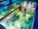 【越前松島水族館】さまざまな展示物をさまざまな角度で楽しめます(当館から車で15分)