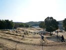 GONZO PARK