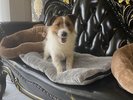 一緒だから、もっと楽しい旅になる。