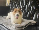 大切な家族と、特別なひとときを。