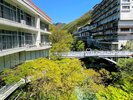 美しい自然の景観の中に溶け込むホテル