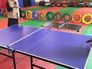■アミューズメント■卓球