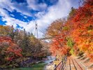 錦秋に染まる諏訪峡。谷を彩る紅葉が織りなす自然の芸術をお楽しみください。