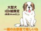 画像はWEBサイトのOGPタグから引用しています じゃらん.net