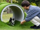 �yDOG PARK�z